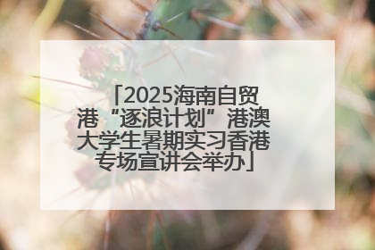 2025海南自贸港“逐浪计划”港澳大学生暑期实习香港专场宣讲会举办