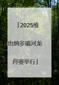2025维也纳多瑙河龙舟赛举行
