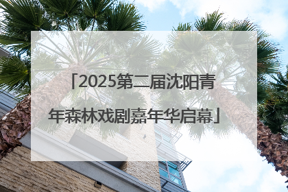 2025第二届沈阳青年森林戏剧嘉年华启幕