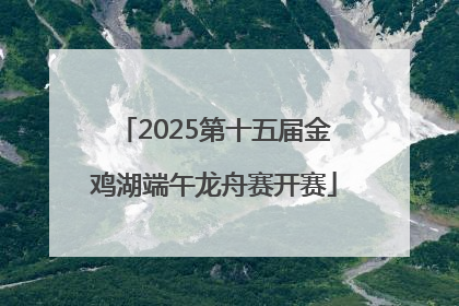 2025第十五届金鸡湖端午龙舟赛开赛