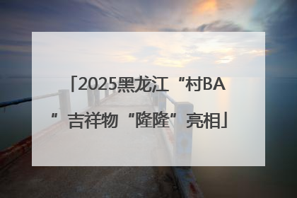 2025黑龙江“村BA”吉祥物“隆隆”亮相