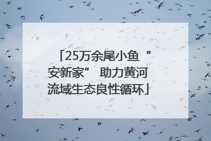 25万余尾小鱼“安新家” 助力黄河流域生态良性循环