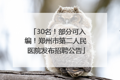 30名！部分可入编！郑州市第二人民医院发布招聘公告