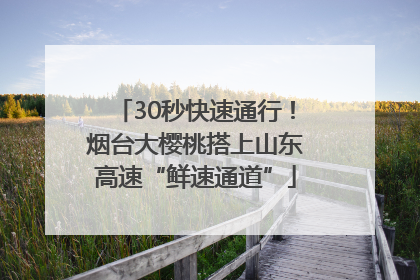 30秒快速通行！烟台大樱桃搭上山东高速“鲜速通道”