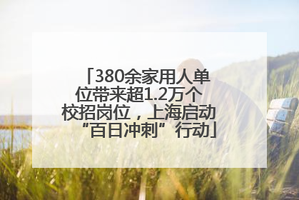 380余家用人单位带来超1.2万个校招岗位，上海启动“百日冲刺”行动