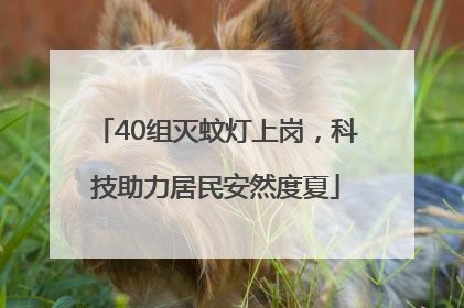 40组灭蚊灯上岗，科技助力居民安然度夏