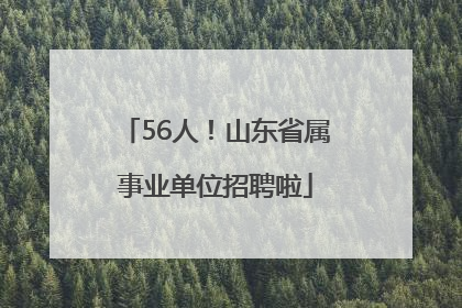 56人！山东省属事业单位招聘啦