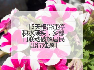 5天根治违停积水顽疾，多部门联动破解居民出行难题