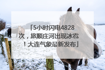 5小时闪电4828次，旅顺庄河出现冰雹！大连气象最新发布