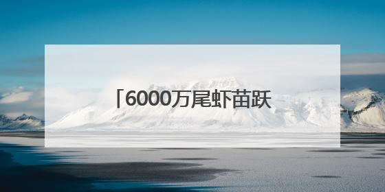 6000万尾虾苗跃入莱州湾 潍坊滨海区启动2025年水生生物增殖放流工作