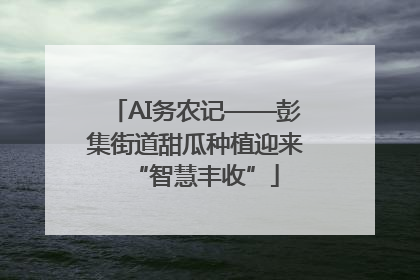 AI务农记——彭集街道甜瓜种植迎来“智慧丰收”