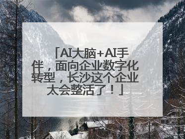 AI大脑+AI手伴，面向企业数字化转型，长沙这个企业太会整活了！