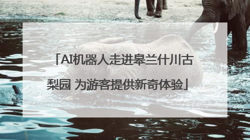 AI机器人走进皋兰什川古梨园 为游客提供新奇体验