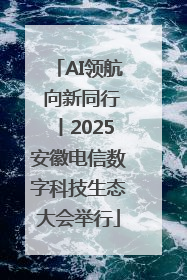 AI领航 向新同行丨2025安徽电信数字科技生态大会举行