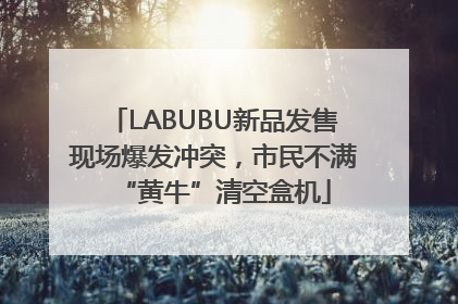 LABUBU新品发售现场爆发冲突，市民不满“黄牛”清空盒机