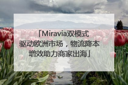 Miravia双模式驱动欧洲市场，物流降本增效助力商家出海